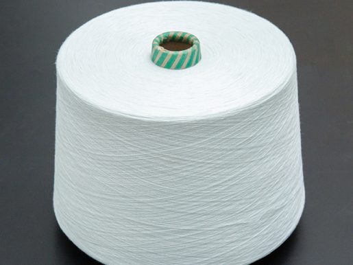 Sợi Polyester 10/1